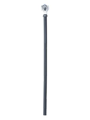Extendable All Seeing Eye Cane