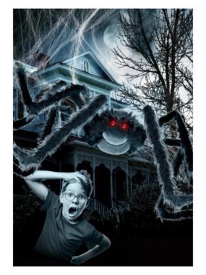 Outdoor Giant Spider & 1.2m Web