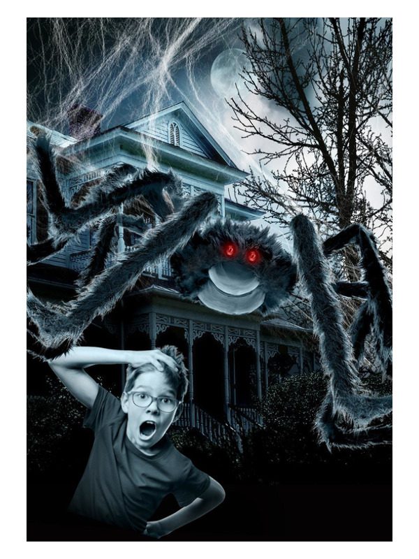 Outdoor Giant Spider & 1.2m Web