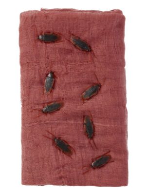 Cockroach Creepy Cloth Kit