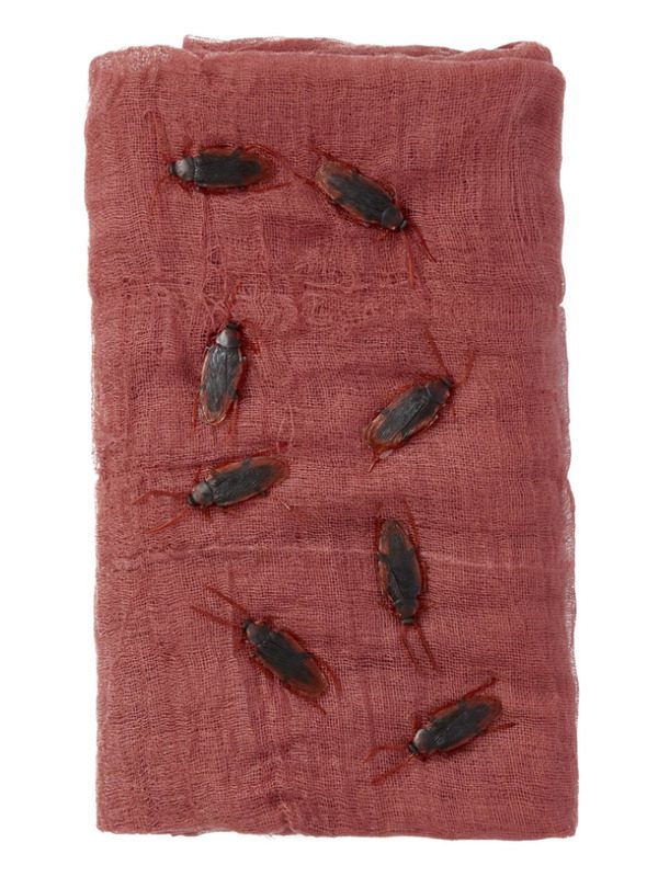 Cockroach Creepy Cloth Kit