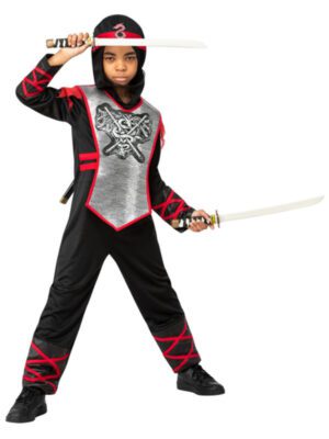 Deluxe Dragon Ninja Costume