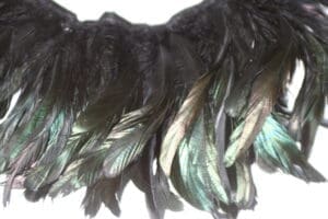 6-8inch Coque Feather Fringe