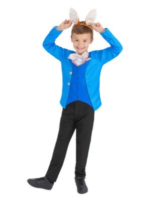 Mr Rabbit Costume