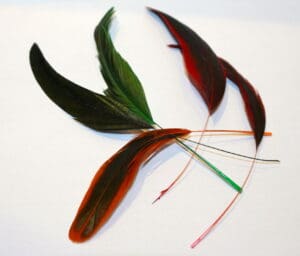 Bag 6x stripped coque feathers