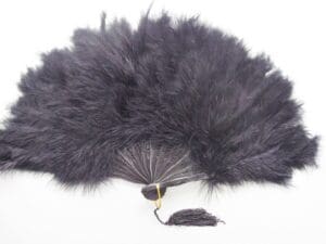 black feather fan