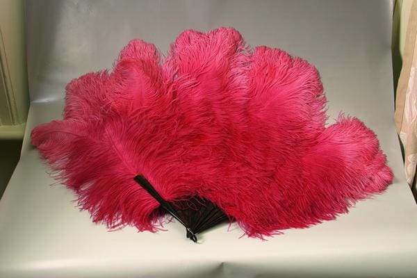Burlesque feather fan single layer 20-22inch