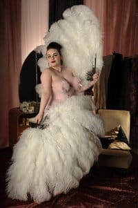 Show feather fan 22inch 2 layers