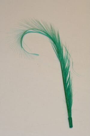 double burnt ostrich feather mount