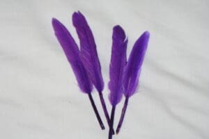 duck feathers purple