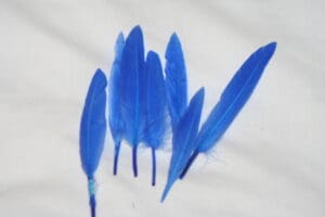 duck feathers royal blue