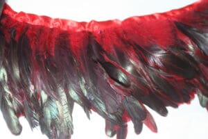 Coque Feather Fringe red