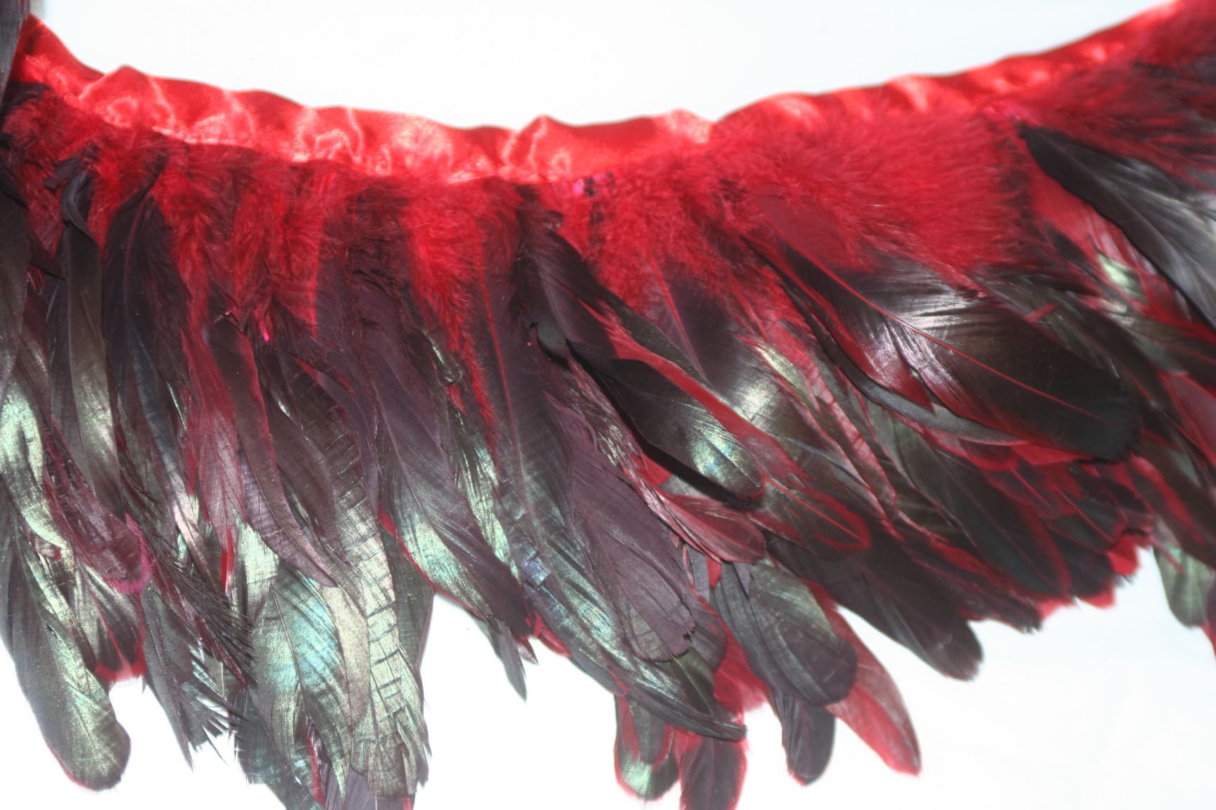 Coque Feather Fringe red