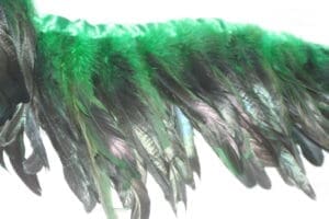 Coque Feather Fringe Green