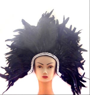 Feather headdress