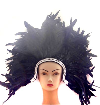 Feather headdress