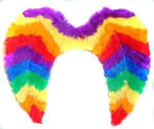 Feather wings rainbow pride color