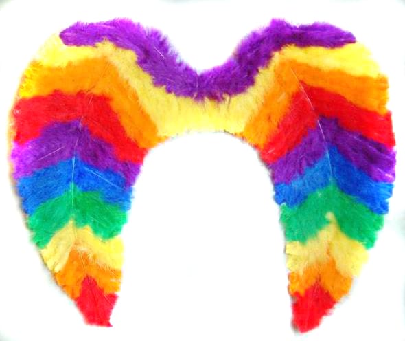 Feather wings rainbow pride color