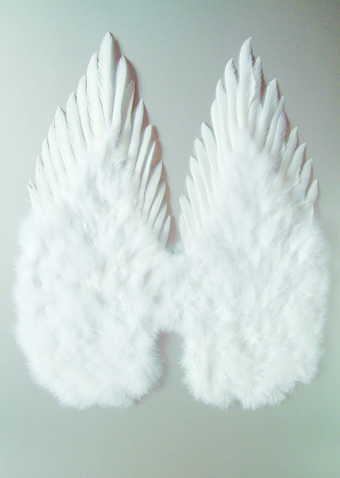 Feather wings white color