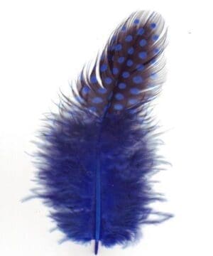 guinea fowl royal blue