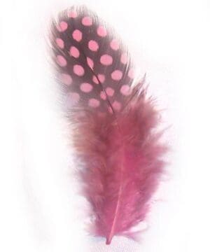guinea fowl pink