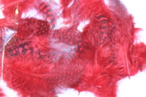 guinea fowl red