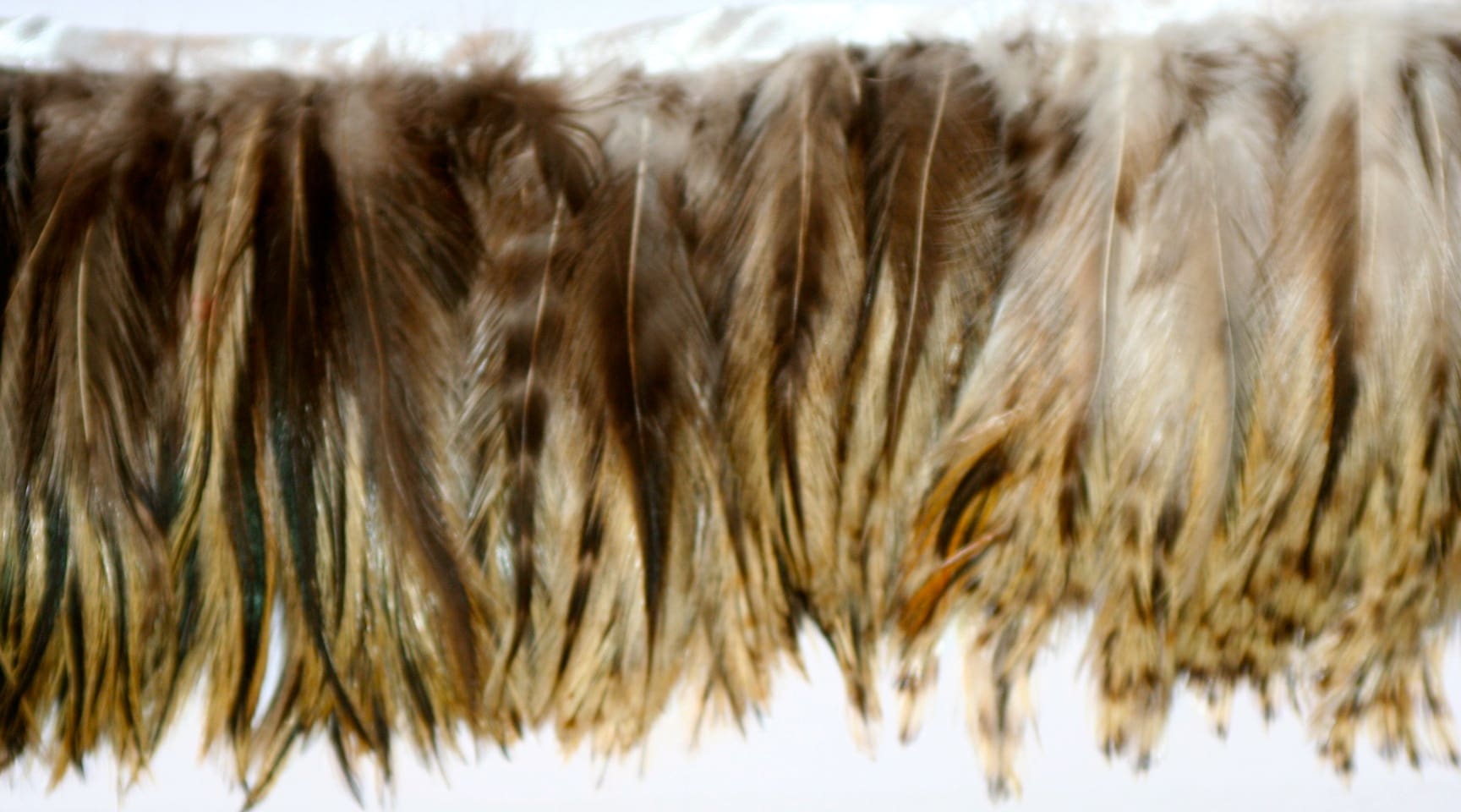 yellow badger Feather Fringe