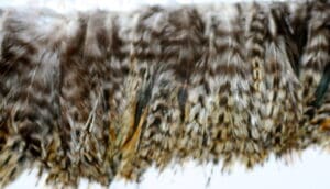 Grey Chinchilla Feather Fringe