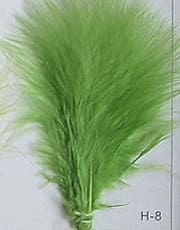 Lime Green Feathers  Plume