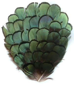 Millinary Feathers ap213