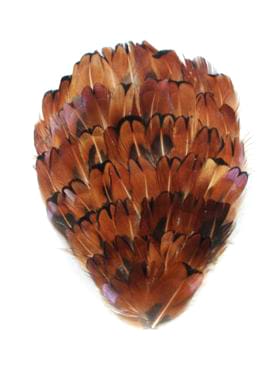 Millinary Feathers ap105