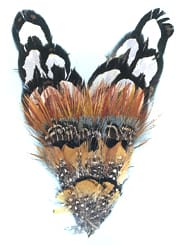 Millinary Feathers ap241