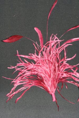 ostrich coque millinary mount