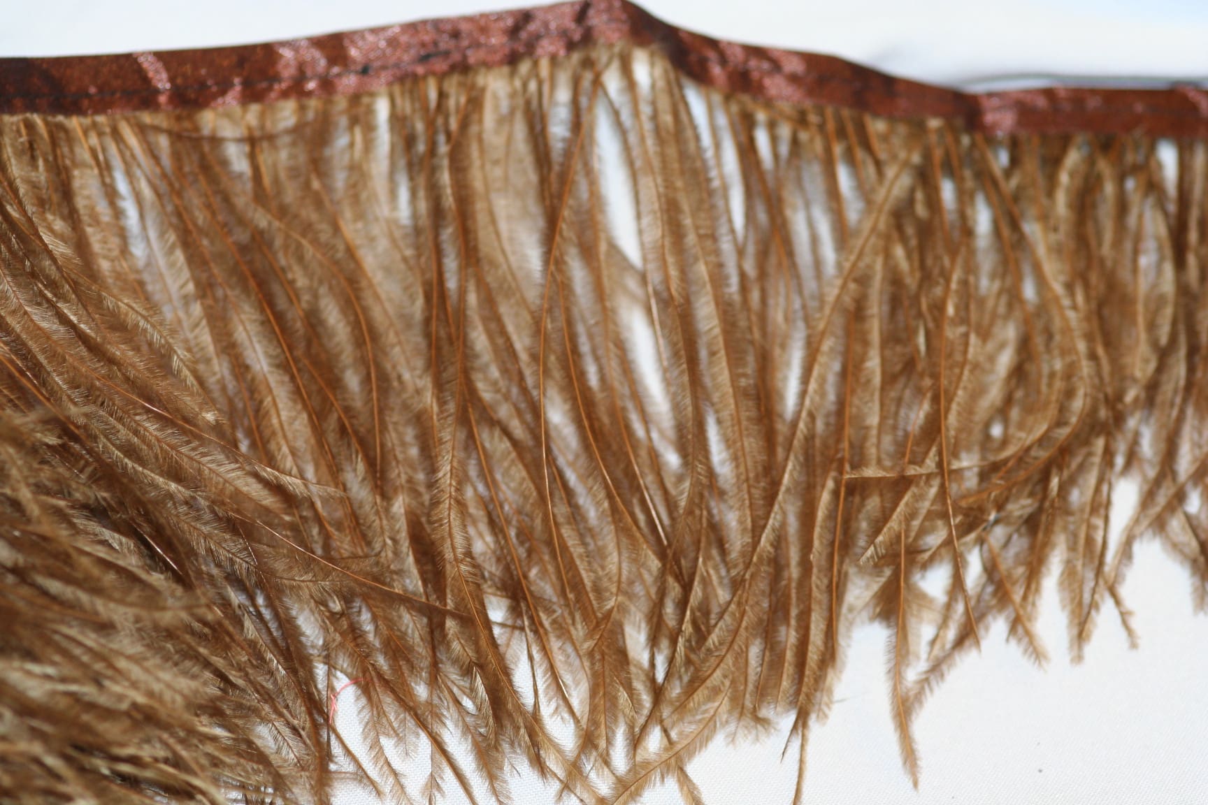 Ostrich feather floaty Fringe brown