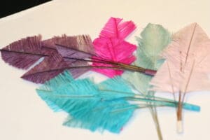 3 ostrich feather tip millinary mounts