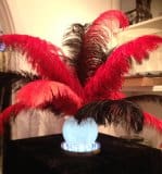 Ostrich Feather goldfish Centerpiece same as we hire