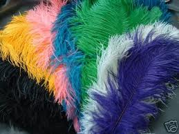 ostrich plume feather 19-20inch all colours
