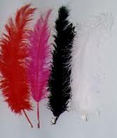 ostrich wing spadone feather 20-26inch
