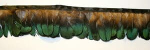 Pheasant Feather Fringe hs38
