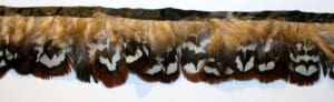Pheasant Feather Fringe hs41