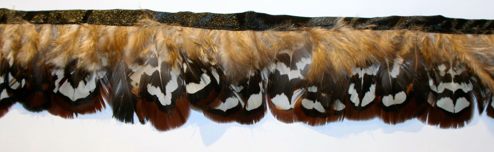 Pheasant Feather Fringe hs41