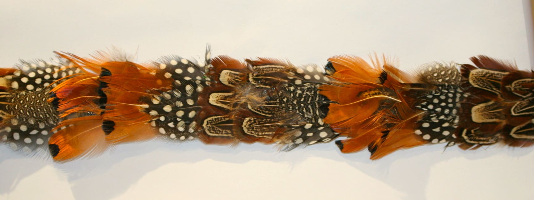 Pheasant feather Fringe hs106