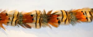 Pheasant Feather Fringe hs111