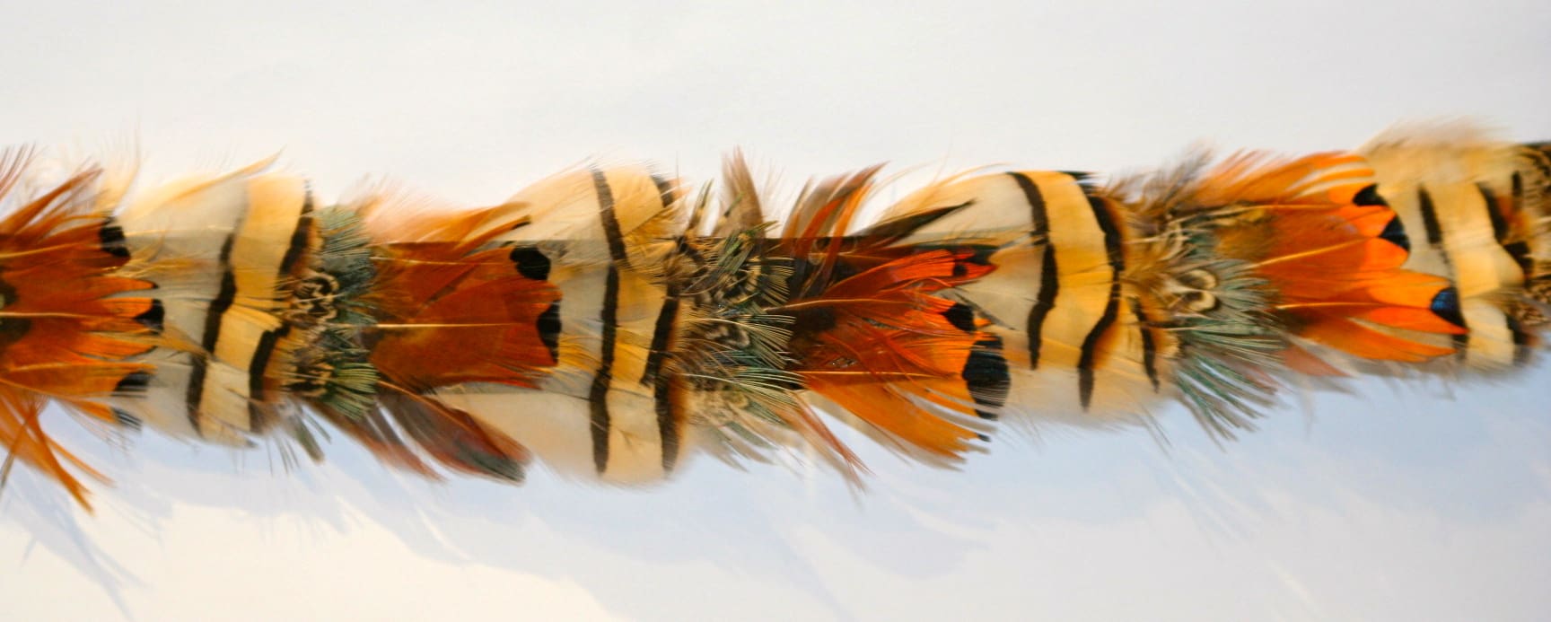 Pheasant Feather Fringe hs111