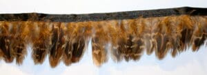 Pheasant Feather Fringe hs53