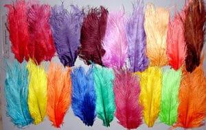 Random Mix Ostrich Feathers  Plume