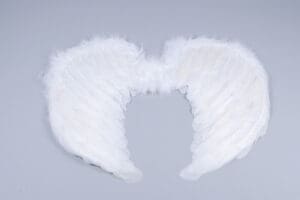 small white feathered wings