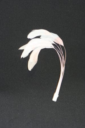 stripped coque bleached mount