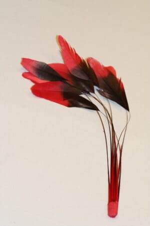 stripped coque dyed tip