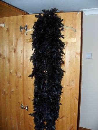 Super deluxe 200g chandelle Feather Boa